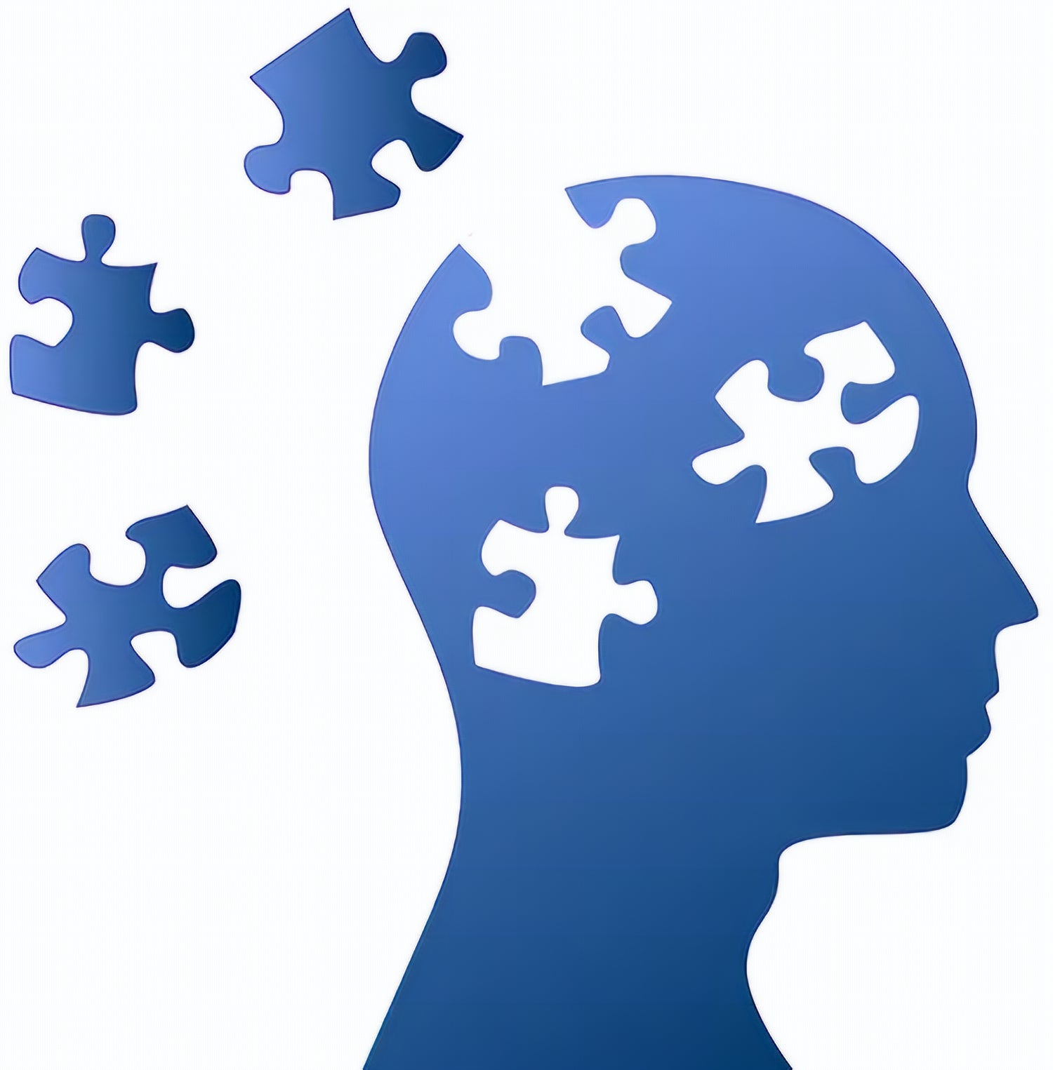 Jigsaw Puzzles As Cognitive Enrichment (PACE)